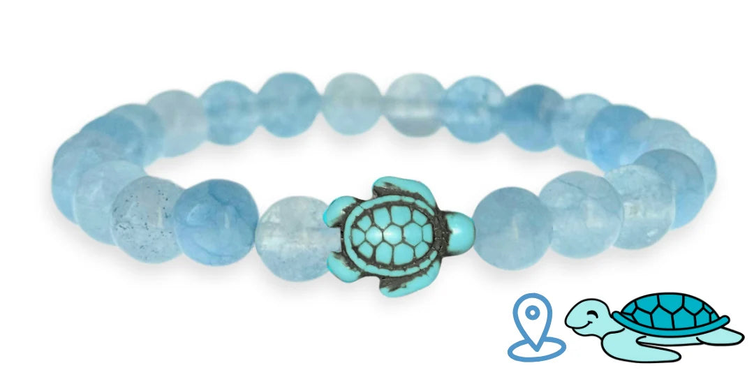 Turtle Tracking Bracelet
